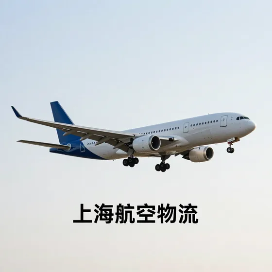 上海航空物流